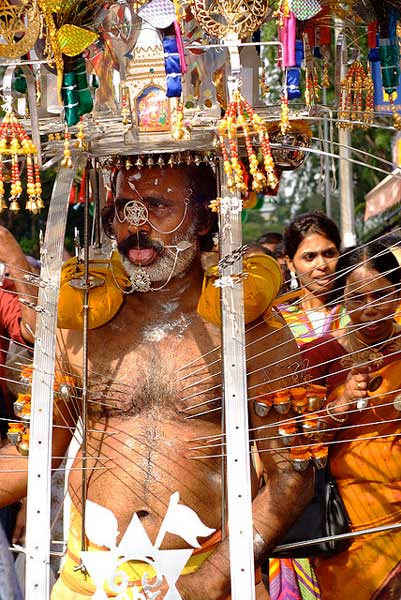 thaipusam-con-kavadi