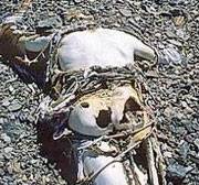 Haz clic para ampliar Haz clic para ampliar