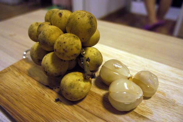 LONGAN LONGAN