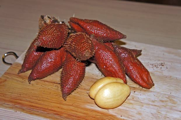 Snake Fruit Snake Fruit