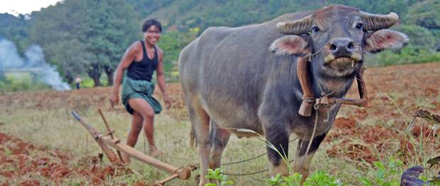 Trekking-Kalaw---Lago