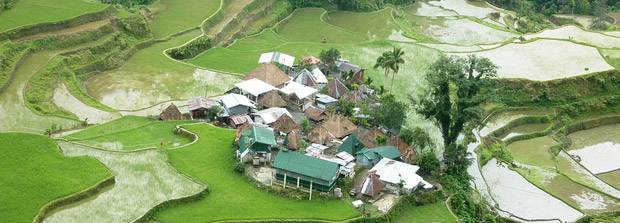 Terrazas-de-arroz Terrazas-de-arroz