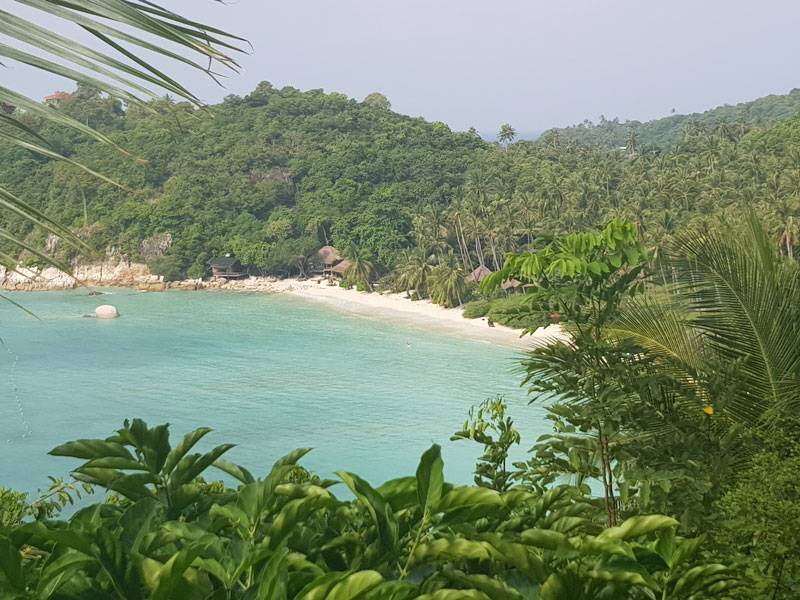La preciosa Shark bay La preciosa Shark bay
