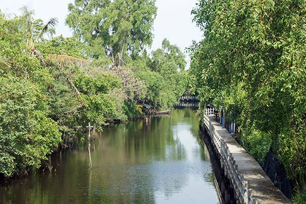 Bang Krachao Bang Krachao