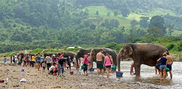 Bañando-al-elefante