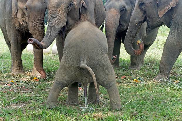 El-peque-haciendo-sus-necesidades