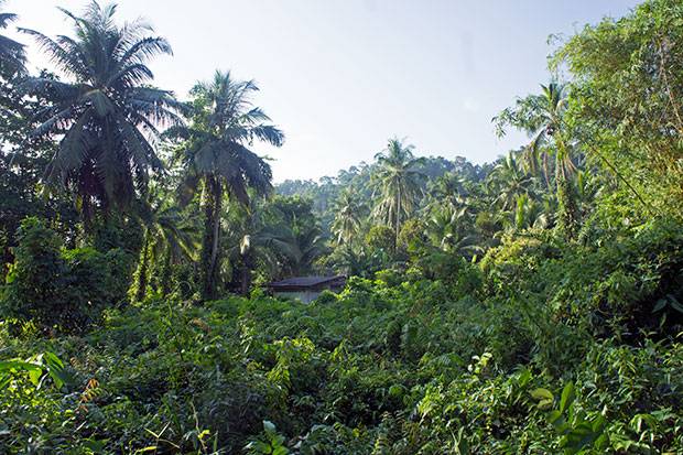 Koh-Phayam-por-dentro