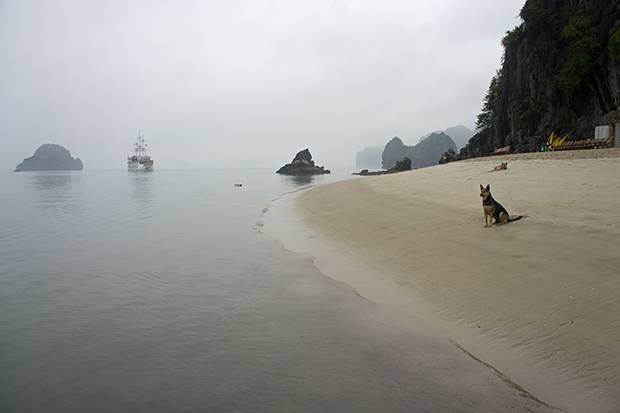 Isla-de-Ha-Long-Bay - copia