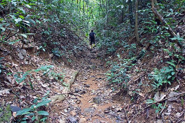 Jungla de Khao Sok - Andando