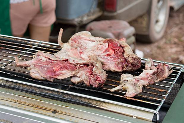 Rata-silvestre Rata-silvestre