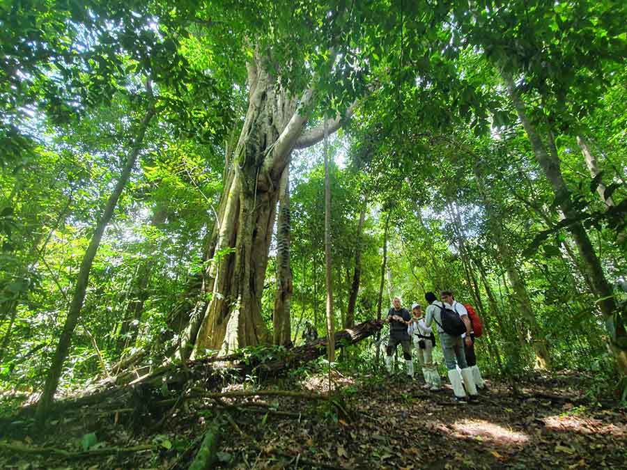 trekking en khao yai khao yai