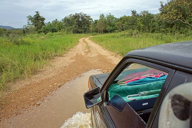 en-busca-de-elefantes