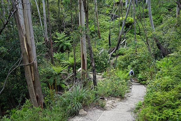 Parques Parques Nacionales