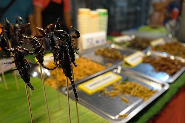 Escorpiones Escorpiones