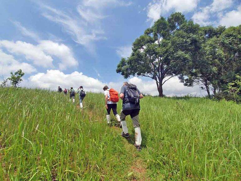 Tour a Khao Yai: Trekking en un parque nacional