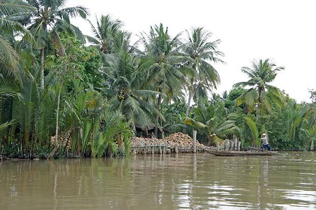 El Delta del Mekong