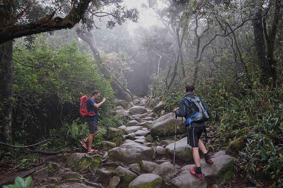 El principio del camino El principio del camino