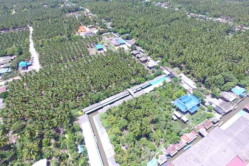 Damnoen Saduak Mercado