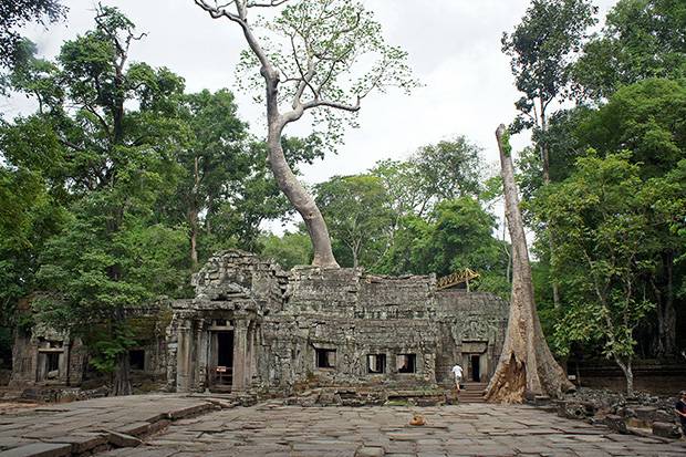 Naturaleza comiendose Taprohm