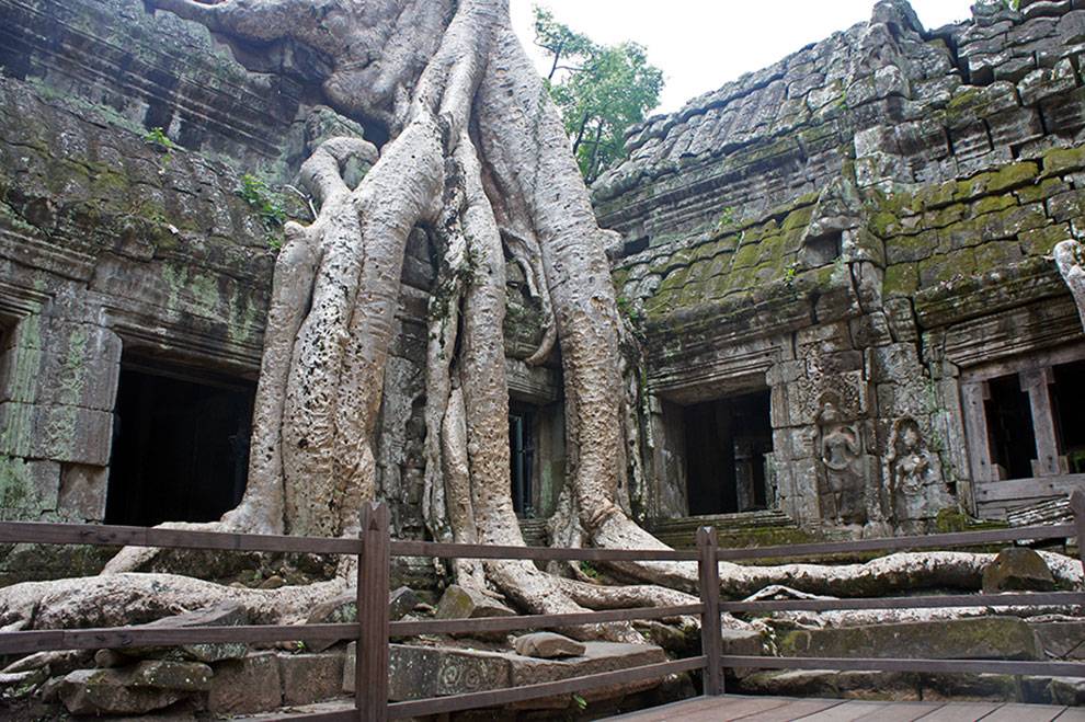 Ta Prohm de cerca