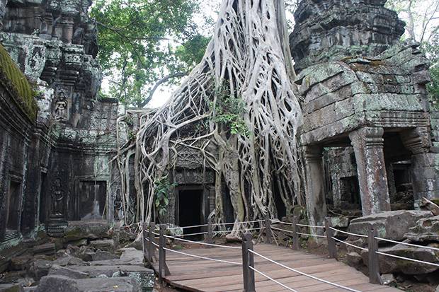 famosa imagen de Ta Prohm