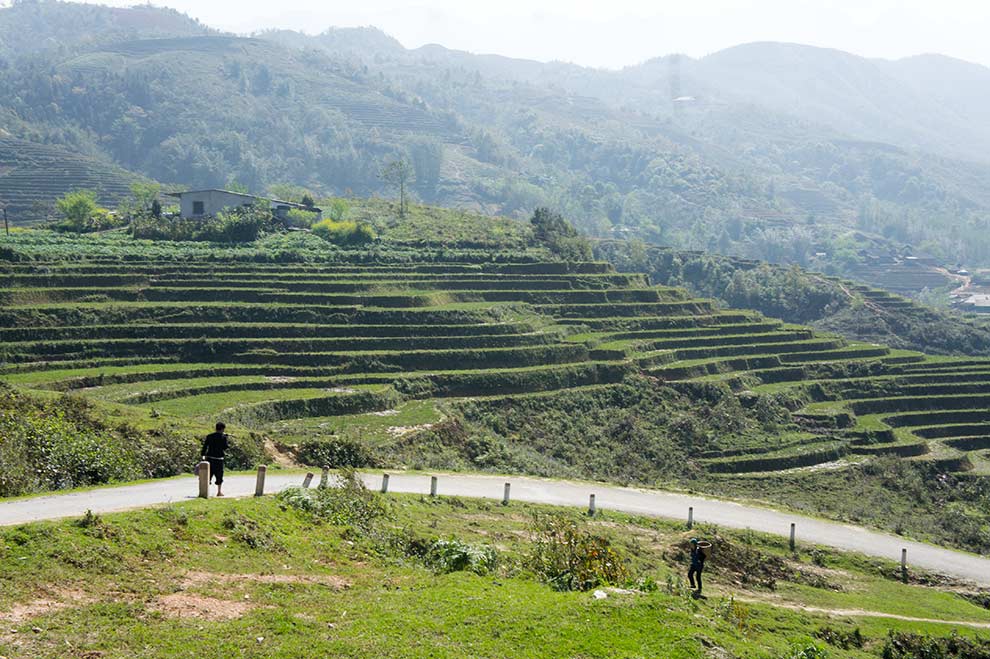 bigpics Paisaje de campos de arroz en Sapa