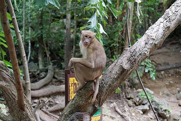 naturaleza en Tailandia