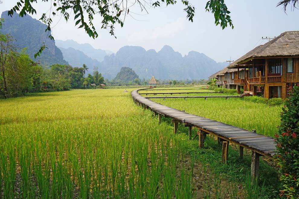 Paisaje de campos de arroz de Vang Vieng Paisaje de Vang Vieng