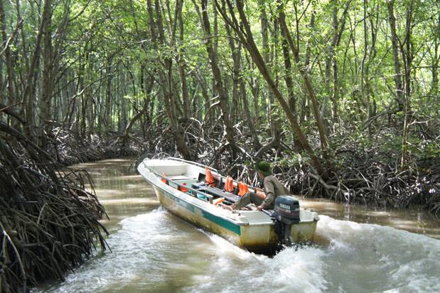 Delta del mekong en Vietnam Delta Mekong