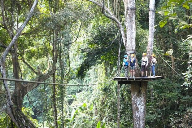 Flight of the Gibbon es la tirolina más famosa de Tailandia Flight of the Gibbon