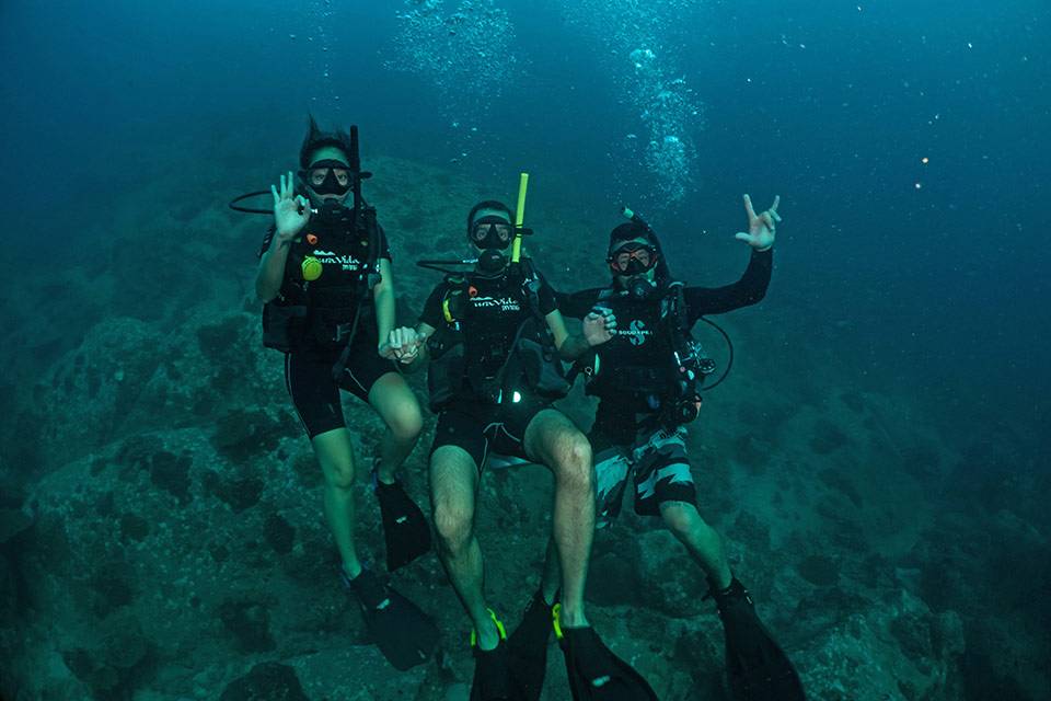Buceo en Koh Tao con Pura Vida buceando en Koh Tao