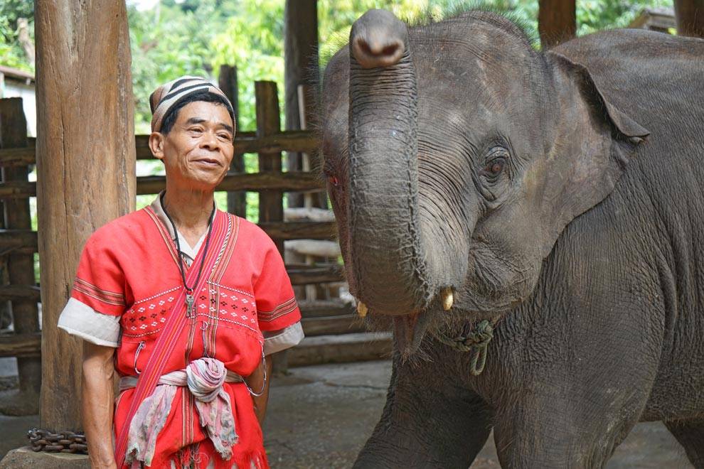 Hombre de tribu con su elefante Elefantes