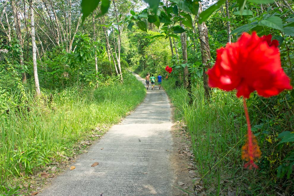 Koh chang noi Calle en Koh CHang Noi