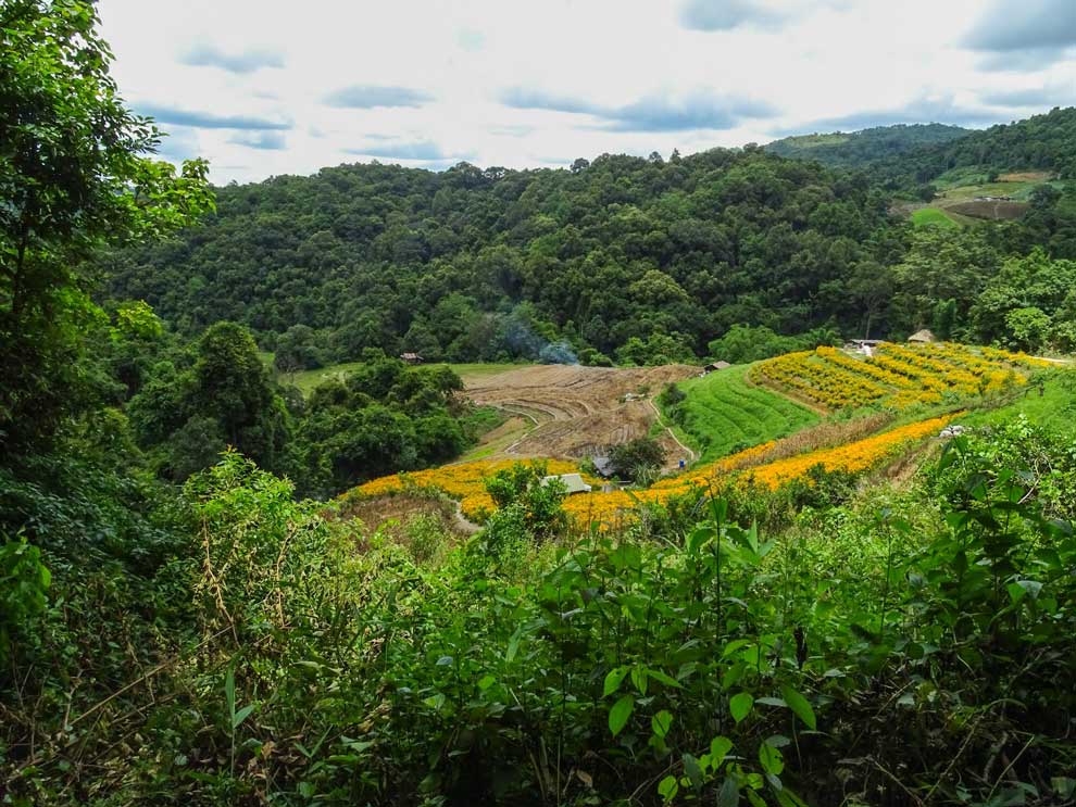 Kew Mae Pan Nature Trail Kew Mae Pan Nature Trail