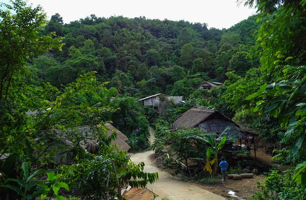 Aldea Tribal De trekking en Chiang rai