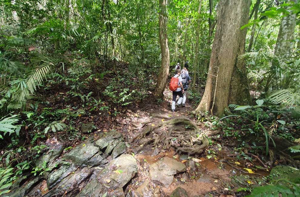 Khao Yai De trekking en Khao Yai