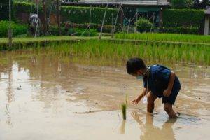 Niños en Chiang MAi
