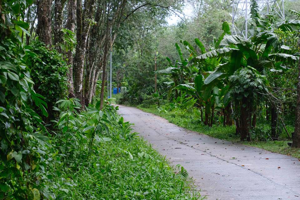 carretera Carretera de Koh Muk