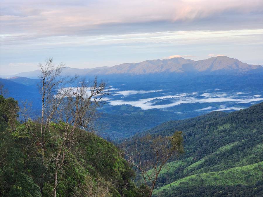 Paisaje del Phu Soi Dao Paisaje del Phu Soi Dao