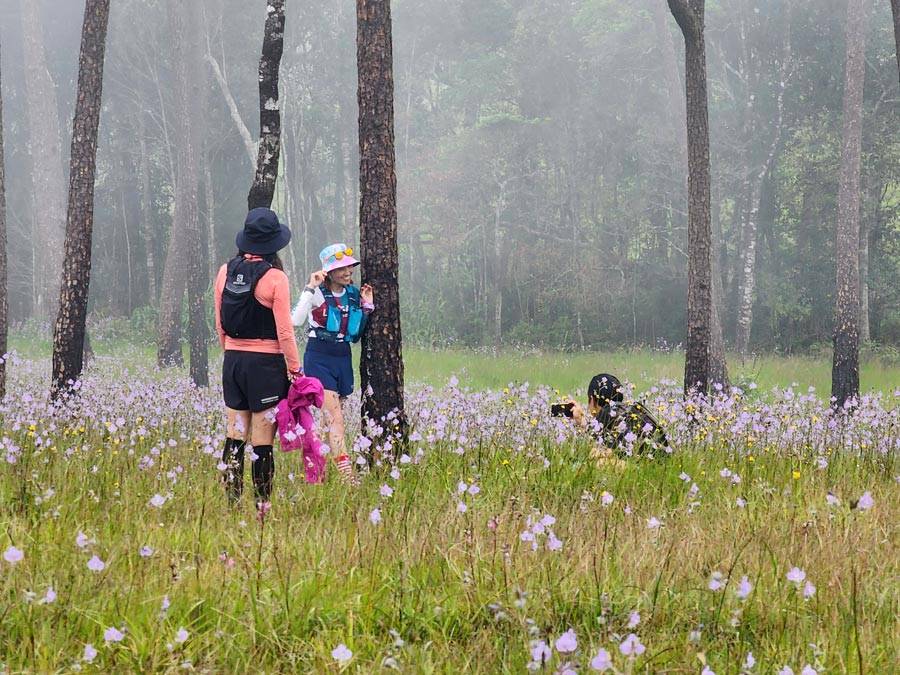 Chicas tomándose fotos Chicas tomándose fotos en la cima