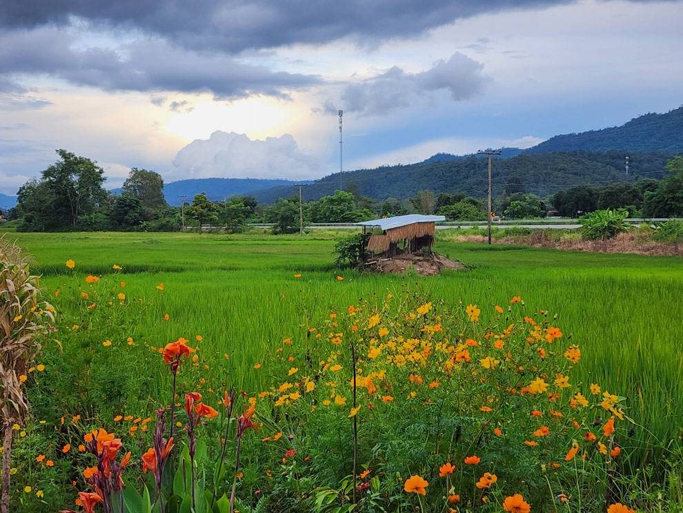 Shambhala cafe en PA Daeng Shambhala cafe en PA Daeng