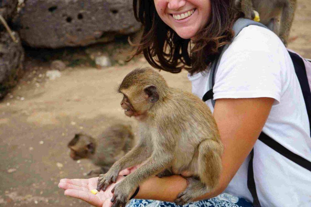 vacunas recomendadas