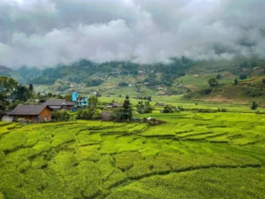 Viajar a Vietnam en julio