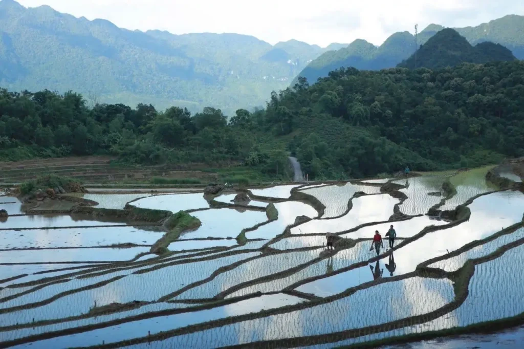 Viajar a Vietnam en agosto