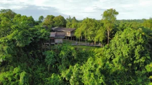 Viajar a Malasia en época de lluvias