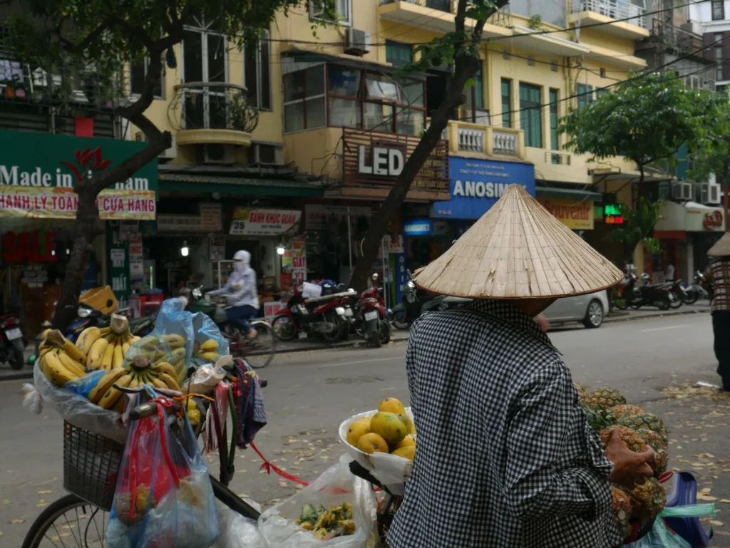 vida en Vietnam