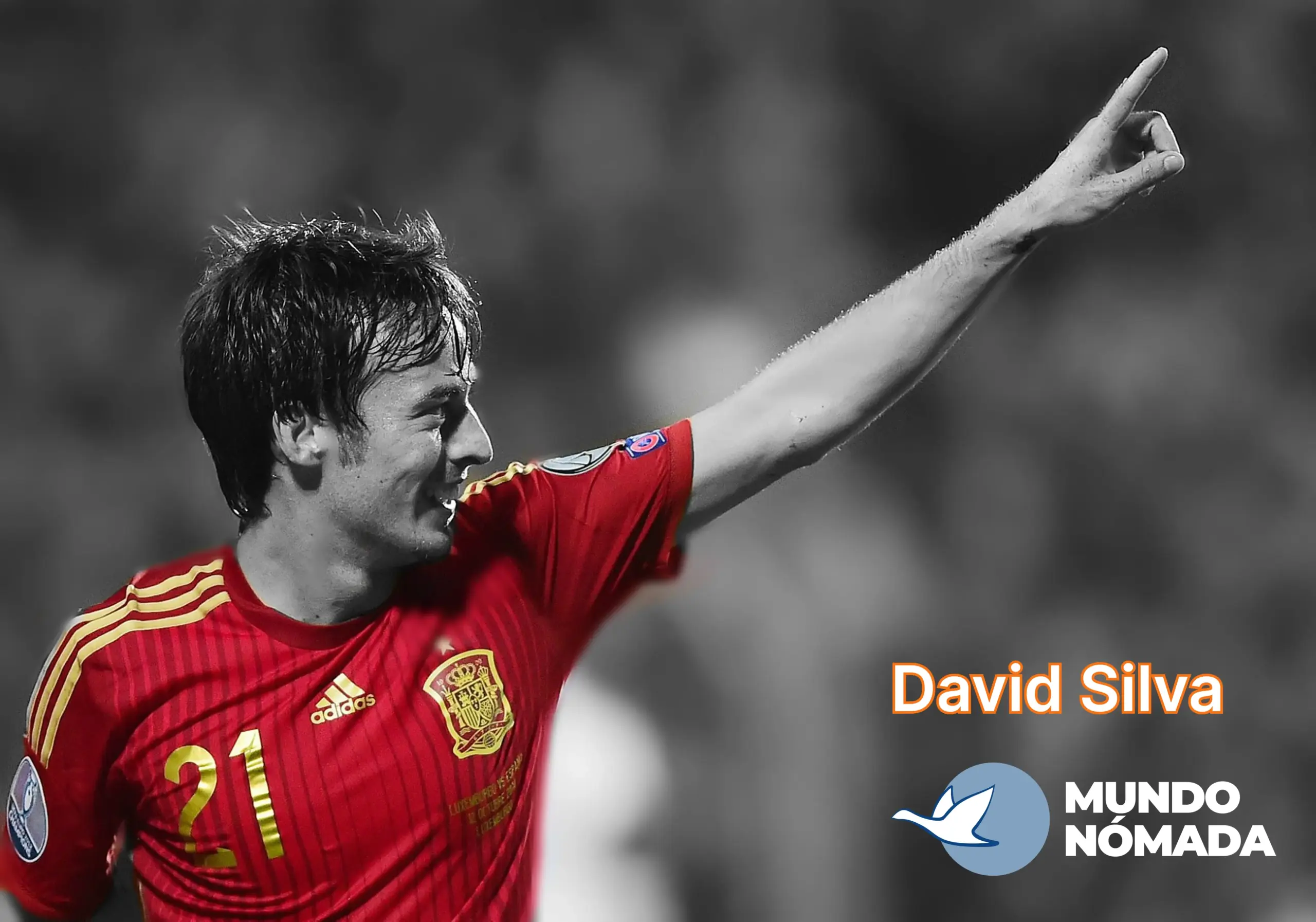 david-silva-video-2